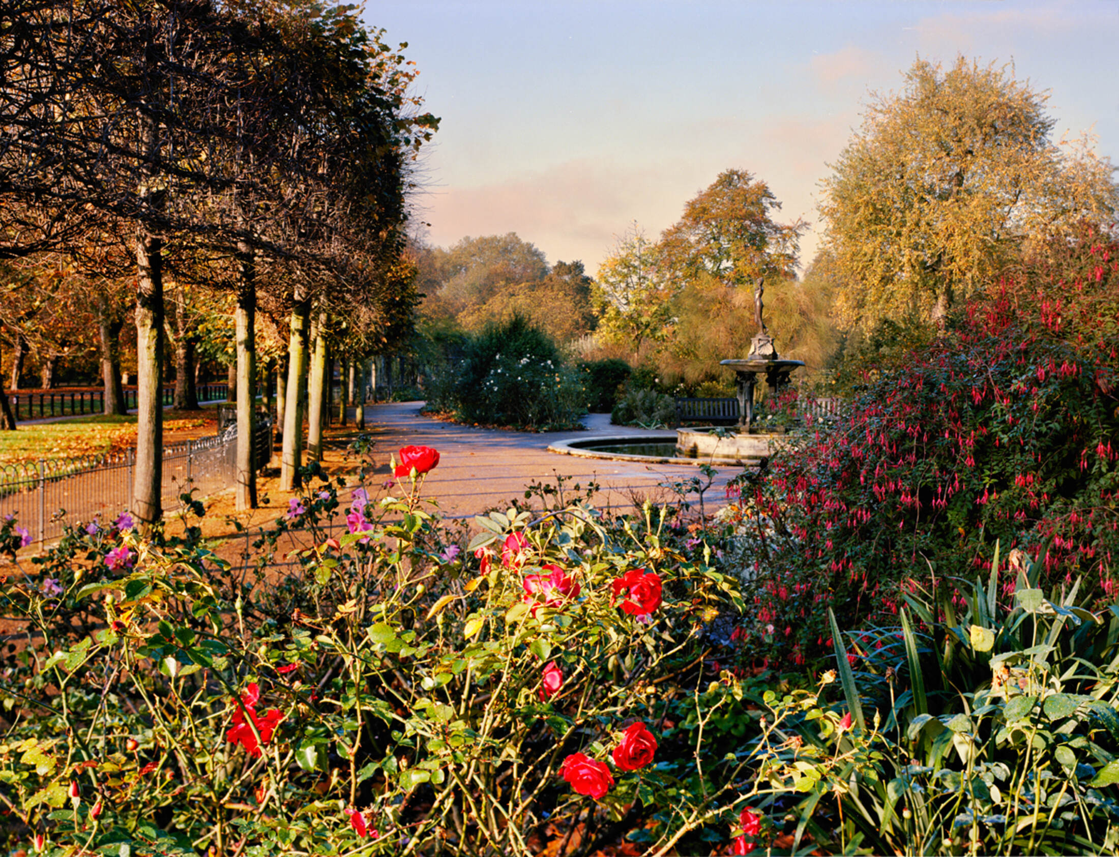 Gardens of Hyde Park The Royal Parks